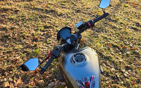 Gebrauchtmotorrad Triumph Trident 660 - Bild 9