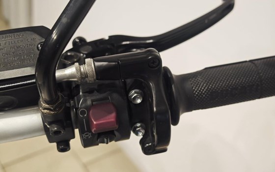 Gebrauchtmotorrad Ducati Scrambler Classic - Bild 8