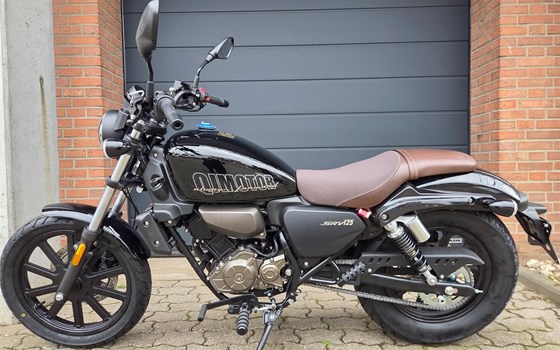 Neufahrzeug QJ Motor SRV 125 - Bild 3