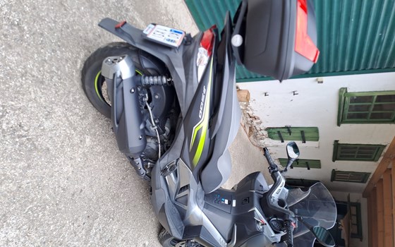 Gebrauchtmotorrad Kawasaki J300 - Bild 2