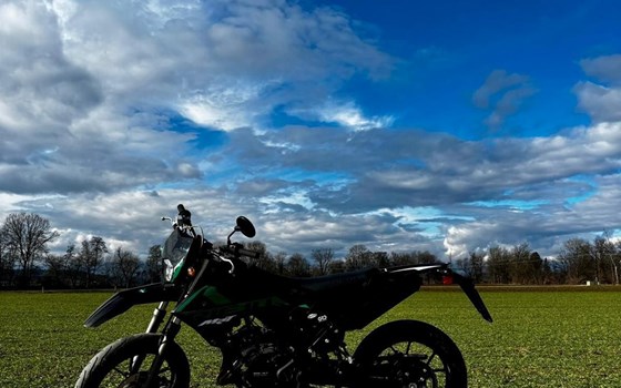 Gebrauchtmotorrad Rieju MRT 50 SM - Bild 12