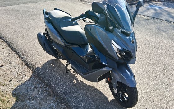 Gebrauchtmotorrad Sym ADX 300 - Bild 6