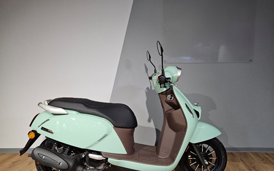 Neufahrzeug QJ Motor LTR 50 - Bild 1