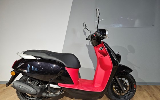 Neufahrzeug QJ Motor LTR 50 - Bild 2