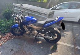 Gebrauchte Honda CB 600 F Hornet