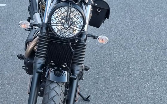 Gebrauchtmotorrad Triumph Scrambler 900 Icon Edition - Bild 3