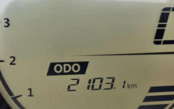 Gebrauchtmotorrad CFMOTO 300CL-X - Bild 6