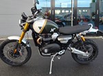 Angebot Triumph Scrambler 1200 XE