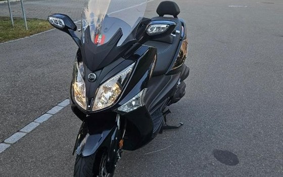 Motorrad Occasion Sym GTS 300i - Bild 3