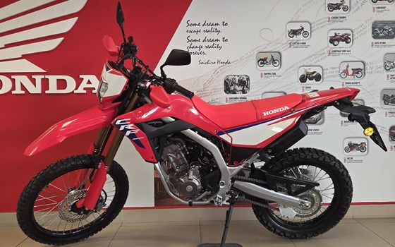 Neufahrzeug Honda CRF300L - Bild 5
