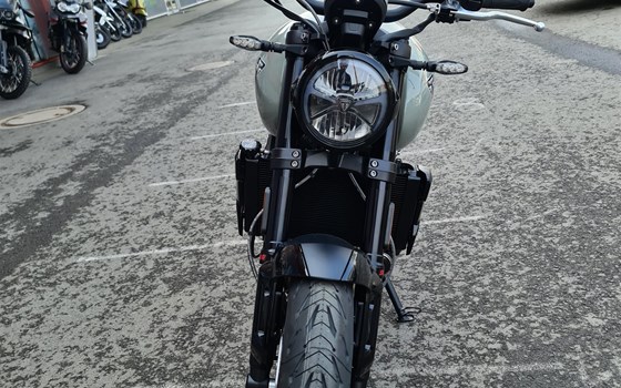 Neufahrzeug Triumph Trident 660 - Bild 5