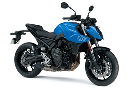 Neumotorrad Suzuki GSX-8S