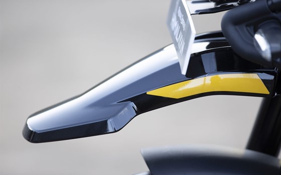 Neufahrzeug Royal Enfield Himalayan 450 - Bild 7