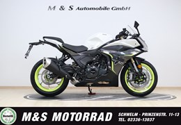 Neumotorrad Benelli Tornado 550