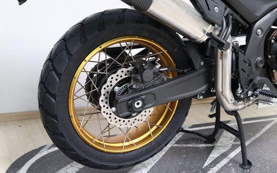 Neufahrzeug Voge DS625X - Bild 2