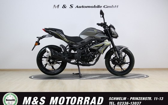 Neufahrzeug Benelli BN 125 - Bild 1