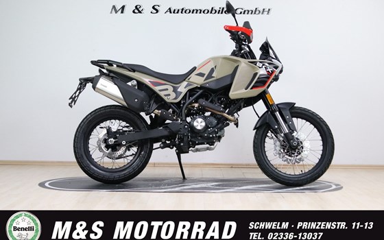Neufahrzeug Benelli BKX 125 - Bild 1