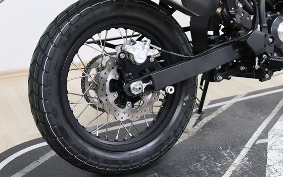 Neufahrzeug Benelli BKX 125 - Bild 2