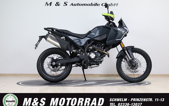 Neufahrzeug Benelli BKX 125 - Bild 1