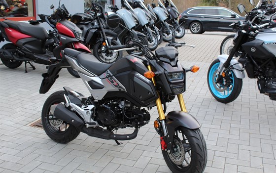 Gebrauchtmotorrad Honda MSX 125 - Bild 1