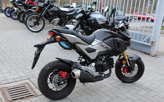 Gebrauchtmotorrad Honda MSX 125 - Bild 3