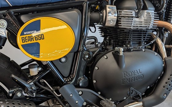 Neufahrzeug Royal Enfield Bear 650 - Bild 11