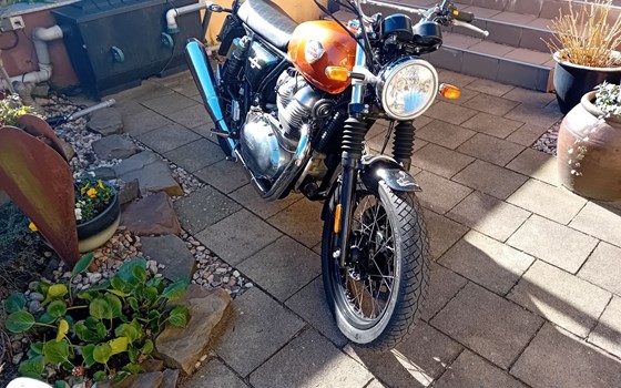 Gebrauchtmotorrad Royal Enfield Interceptor 650 - Bild 7