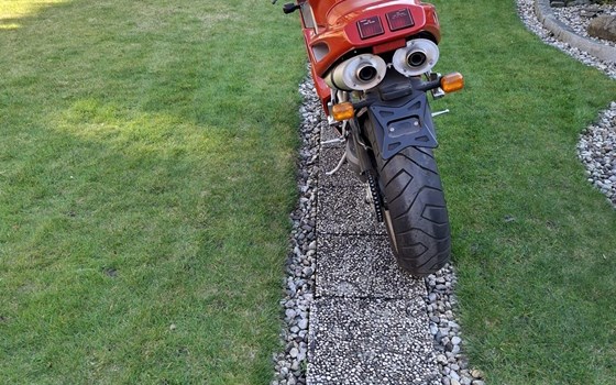 Gebrauchtmotorrad Ducati 916 Biposto - Bild 7