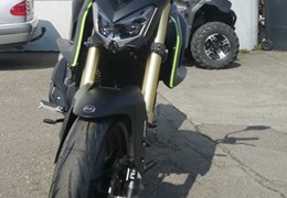 Neumotorrad QJ Motor SRK 125 S