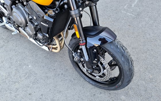 Neufahrzeug Triumph Trident 660 - Bild 4