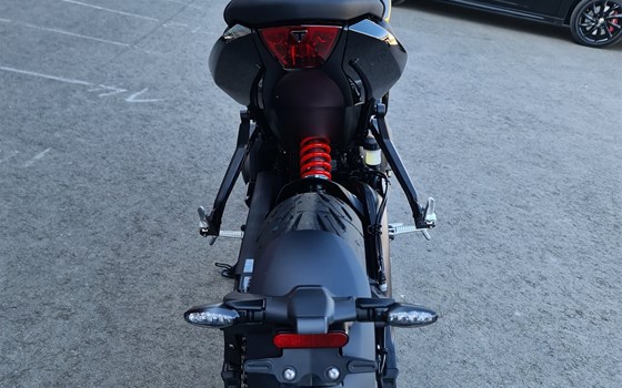 Neufahrzeug Triumph Trident 660 - Bild 6