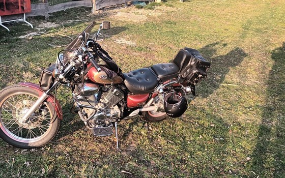 Gebrauchtmotorrad Yamaha XV 535 Virago - Bild 5