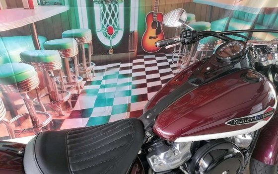 Gebrauchtmotorrad Harley-Davidson Softail Slim FLSL - Bild 7