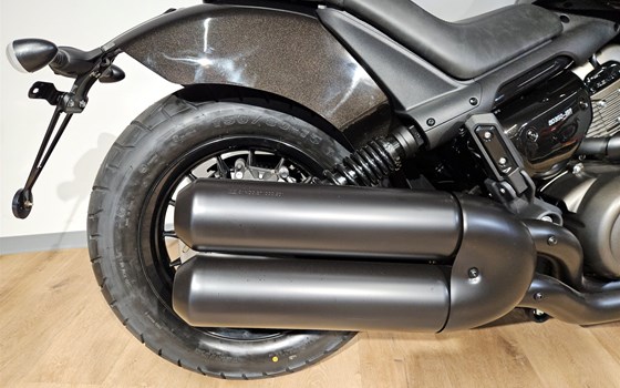 Neufahrzeug Benda Chinchilla 350 CVT - Bild 2