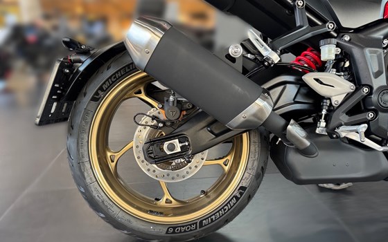 Neufahrzeug Triumph Trident 800 - Bild 10
