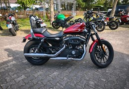 Gebrauchte Harley-Davidson Sportster XL 883 N Iron