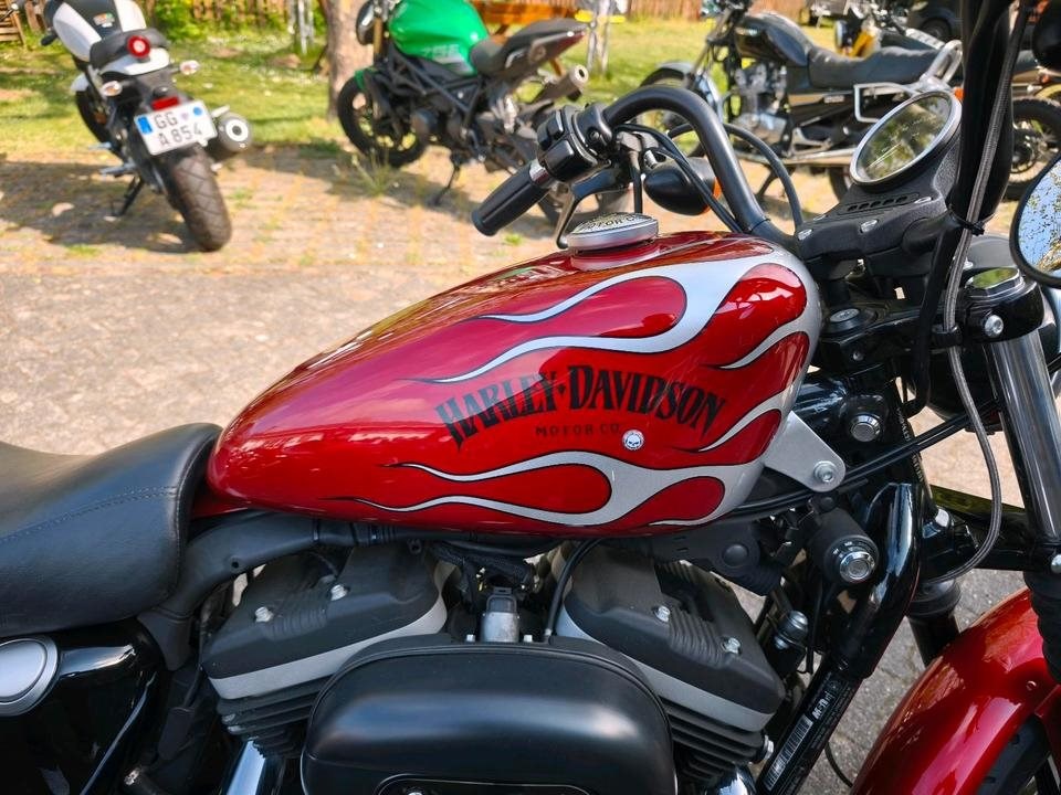 Angebot Harley-Davidson Sportster XL 883 N Iron