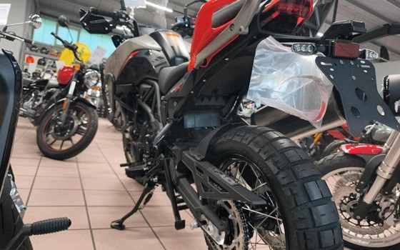 Neufahrzeug Benelli TRK 702 X - Bild 11