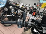 Angebot Benelli TRK 702 X