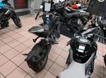Angebot CFMOTO 800NK Sport