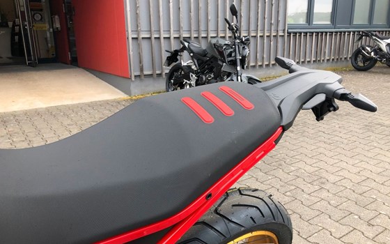 Neufahrzeug BMW F 900 GS - Bild 6