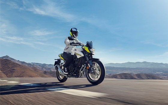 Neufahrzeug Honda CB500 Hornet E-Clutch - Bild 3