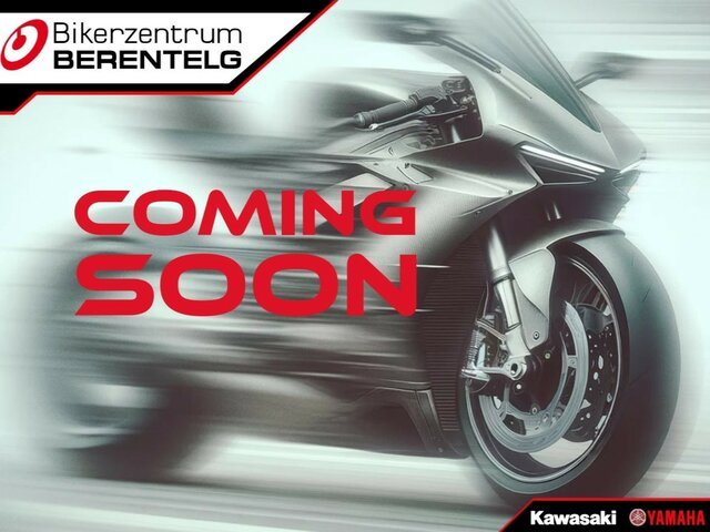 Kawasaki Ninja H2 SX