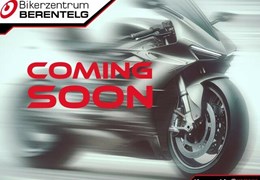 Neumotorrad Kawasaki Ninja H2 SX