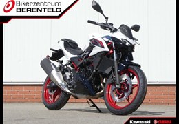 Neumotorrad Kawasaki Z 500 SE