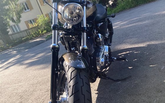 Motorrad Occasion Harley-Davidson Sportster XL 1200C Custom - Bild 2