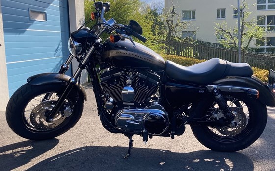 Motorrad Occasion Harley-Davidson Sportster XL 1200C Custom - Bild 3
