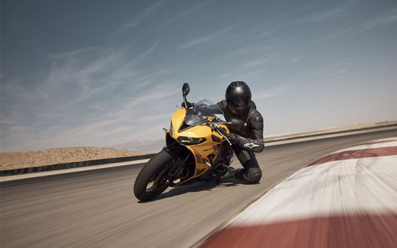 Neufahrzeug Triumph Daytona 660 - Bild 5