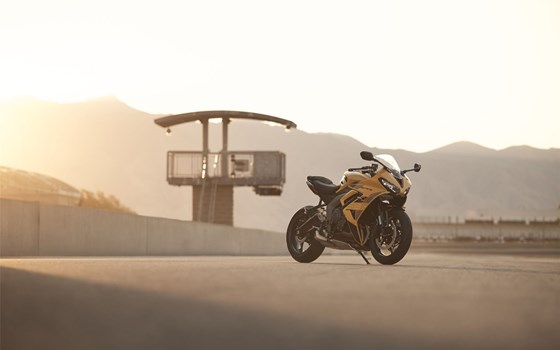 Neufahrzeug Triumph Daytona 660 - Bild 6