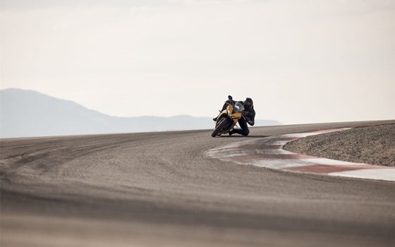 Neufahrzeug Triumph Daytona 660 - Bild 9
